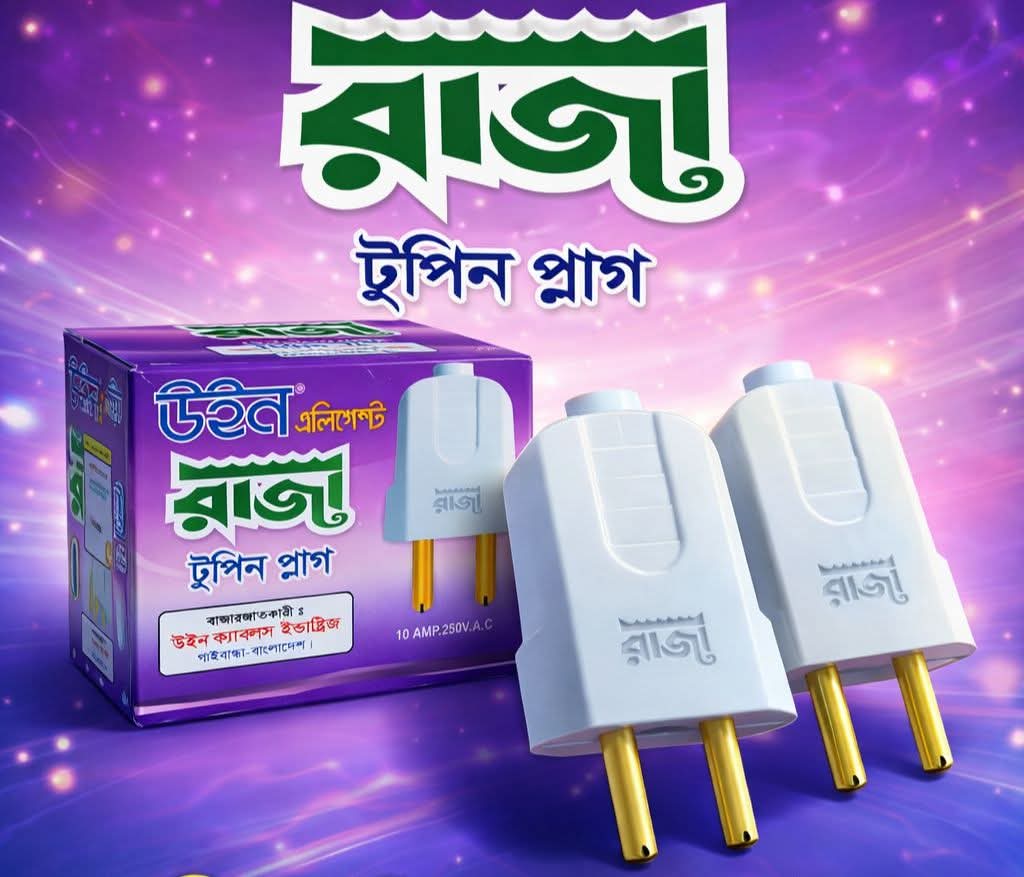 2 pin plug