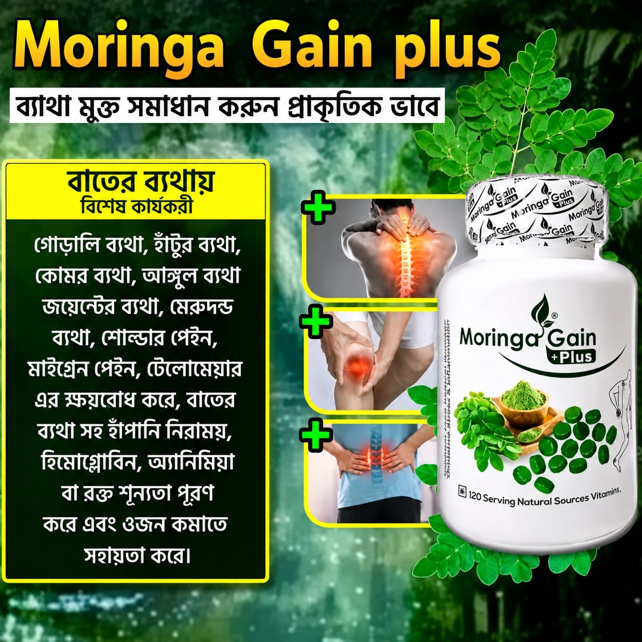 Moringa Gain Plus